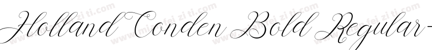Holland Conden Bold Regular字体转换